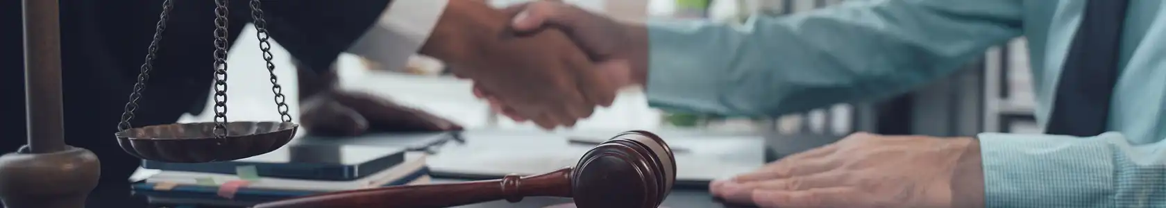 business law page